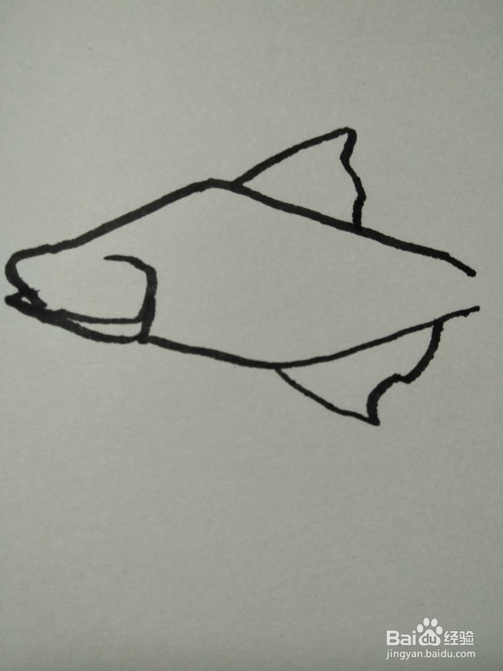 简笔画之小鱼