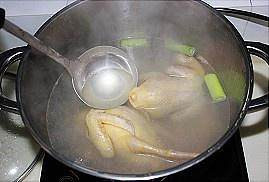 经典枣枸杞乳鸽汤