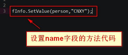 c#如何调用保护代码