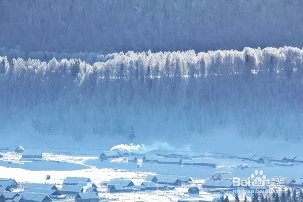 喀纳斯冬季冰雪三日游旅行指南