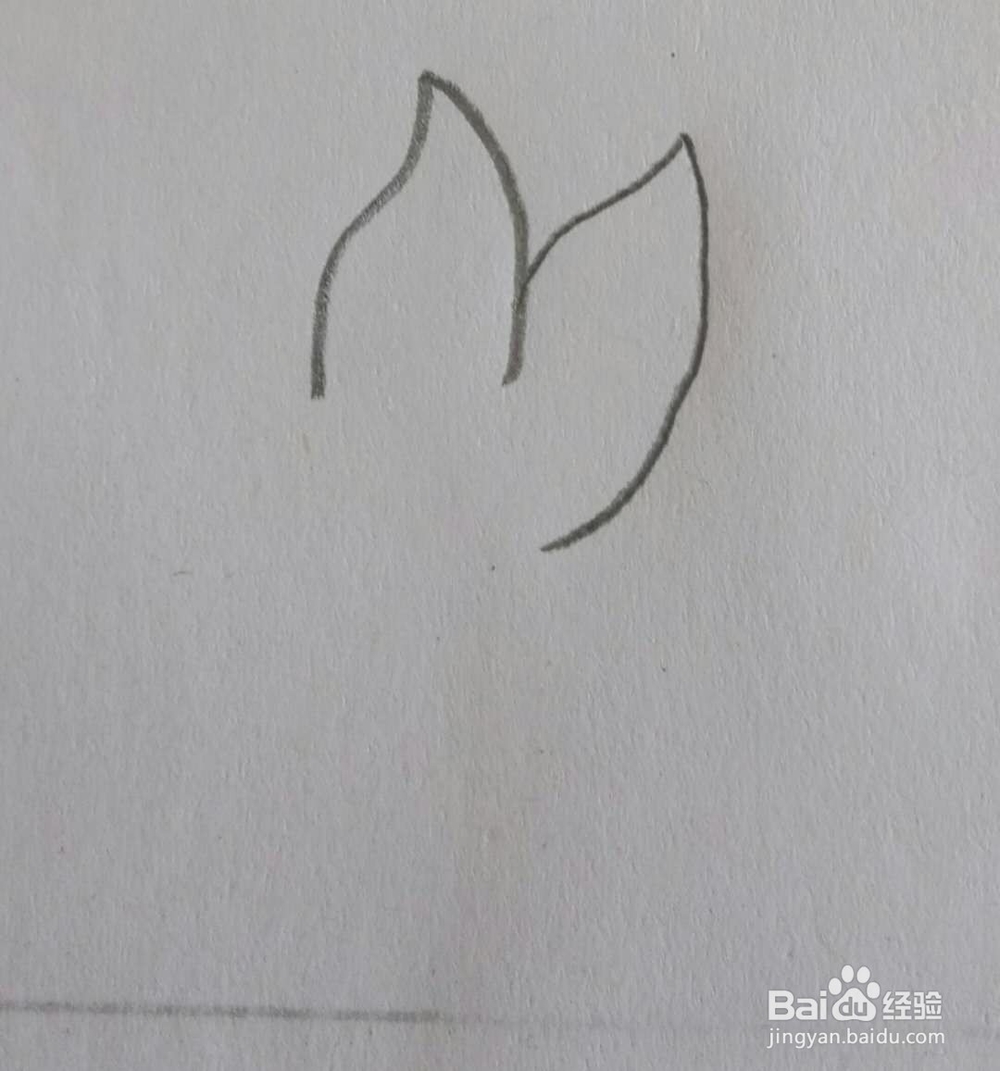 教你画简笔画小草画法7