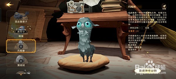 哈利波特魔法觉醒魔法灯谜会答案是什么