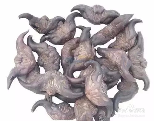 哪些食物最危险含寄生虫?