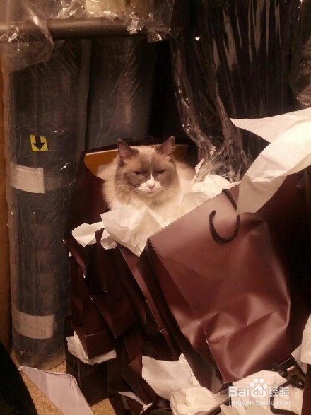 为什么你就是不相信,我不会带你去旅行?