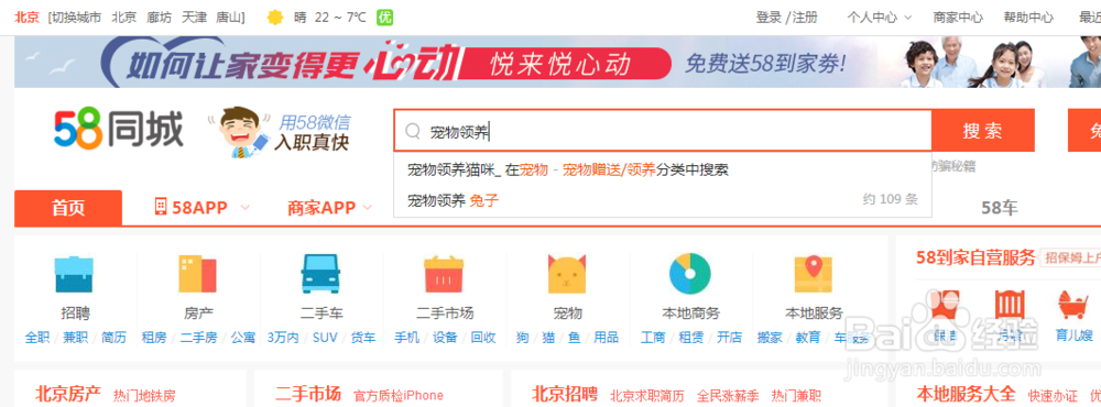 如何领养小猫