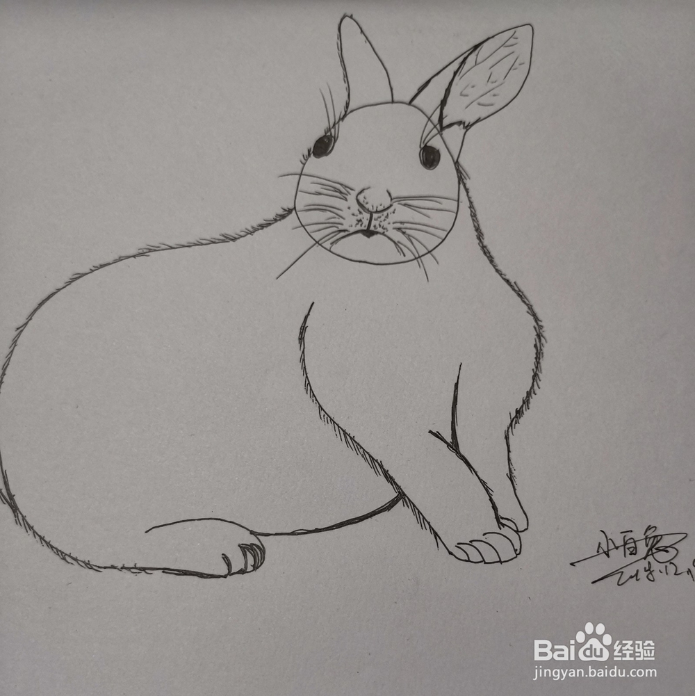 小白兔的简笔画
