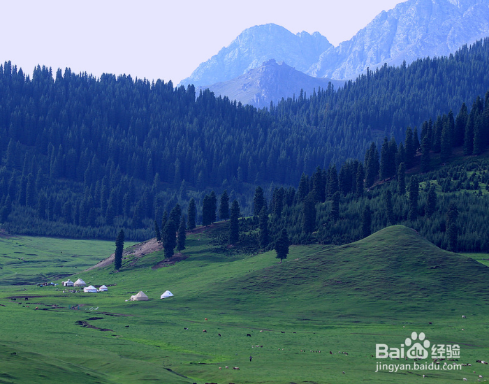 新疆7日游，有什么路线推荐？