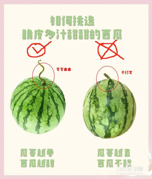 如何挑选西瓜？