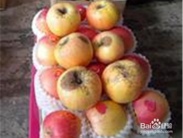 怎样挑选苹果