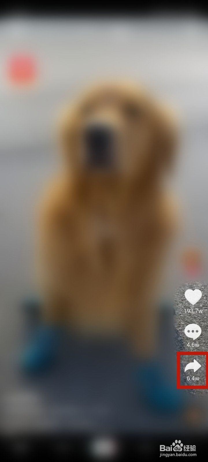 抖音怎么发不了微信好友