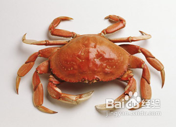 人突然消瘦的原因