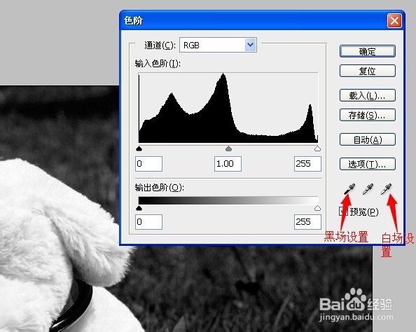 PS抠图：[4]头发、毛绒玩具抠图