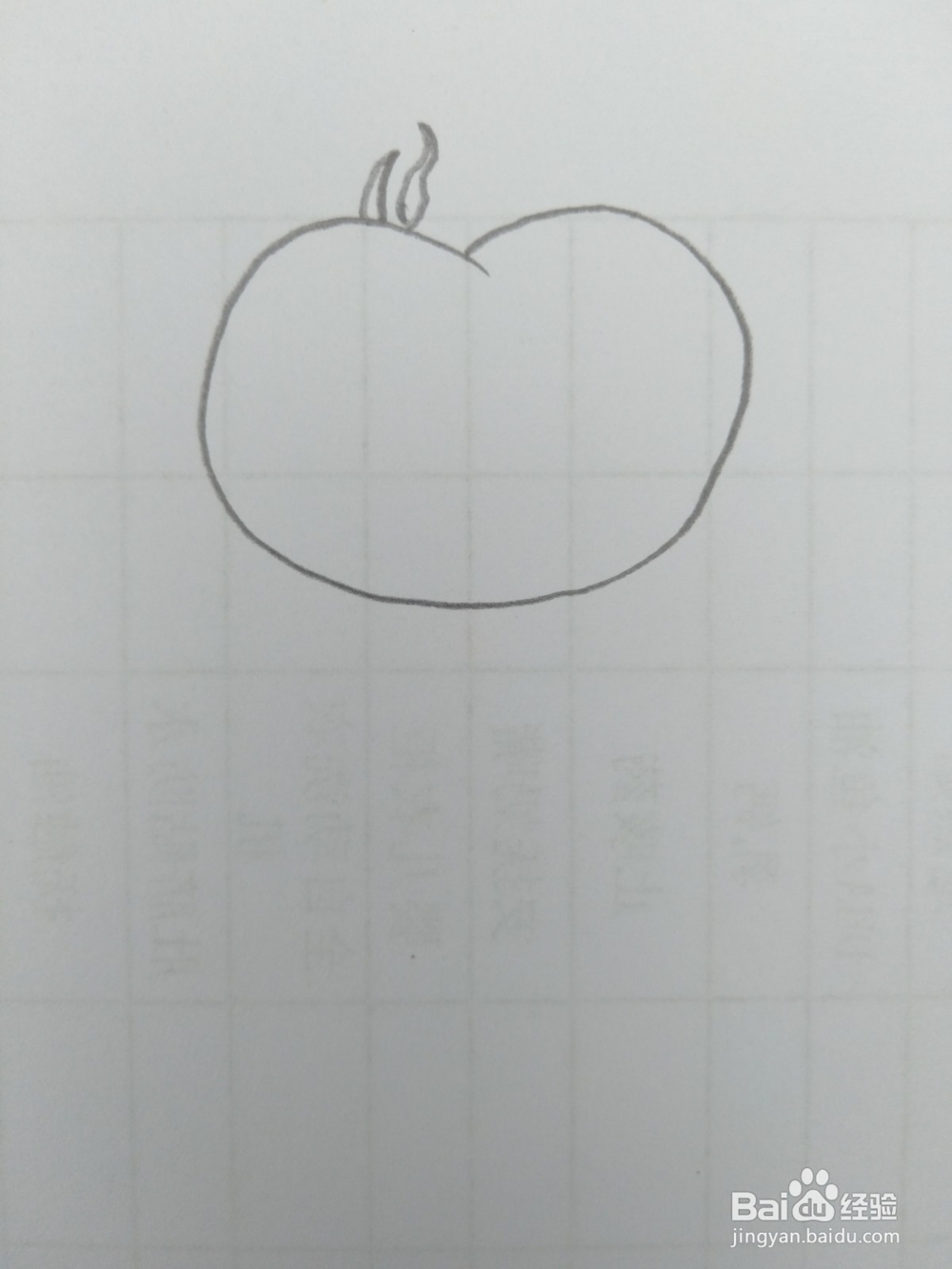简笔画柿子画法三