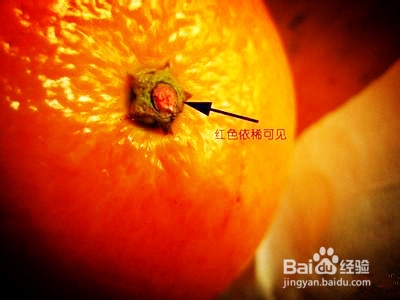 如何挑选、购买水果蔬菜和香辛料？