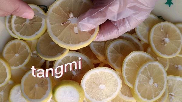 润肺止咳化痰川贝陈皮柠檬膏