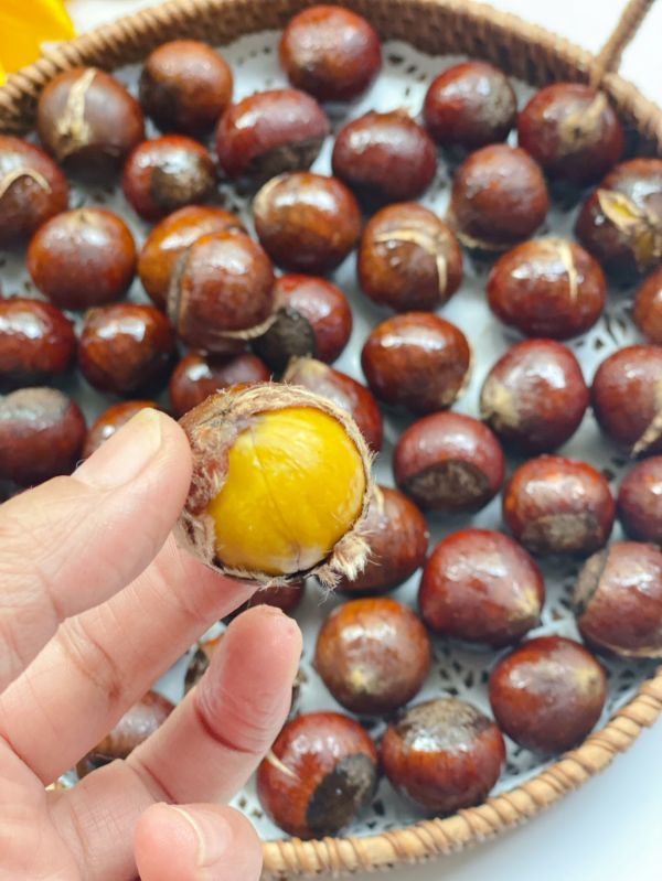 冬天怎么能少了糖炒栗子