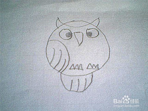 简笔画猫头鹰这样画