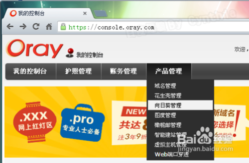 向日葵远程控制软件使用方法