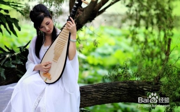 如何挑选琵琶？