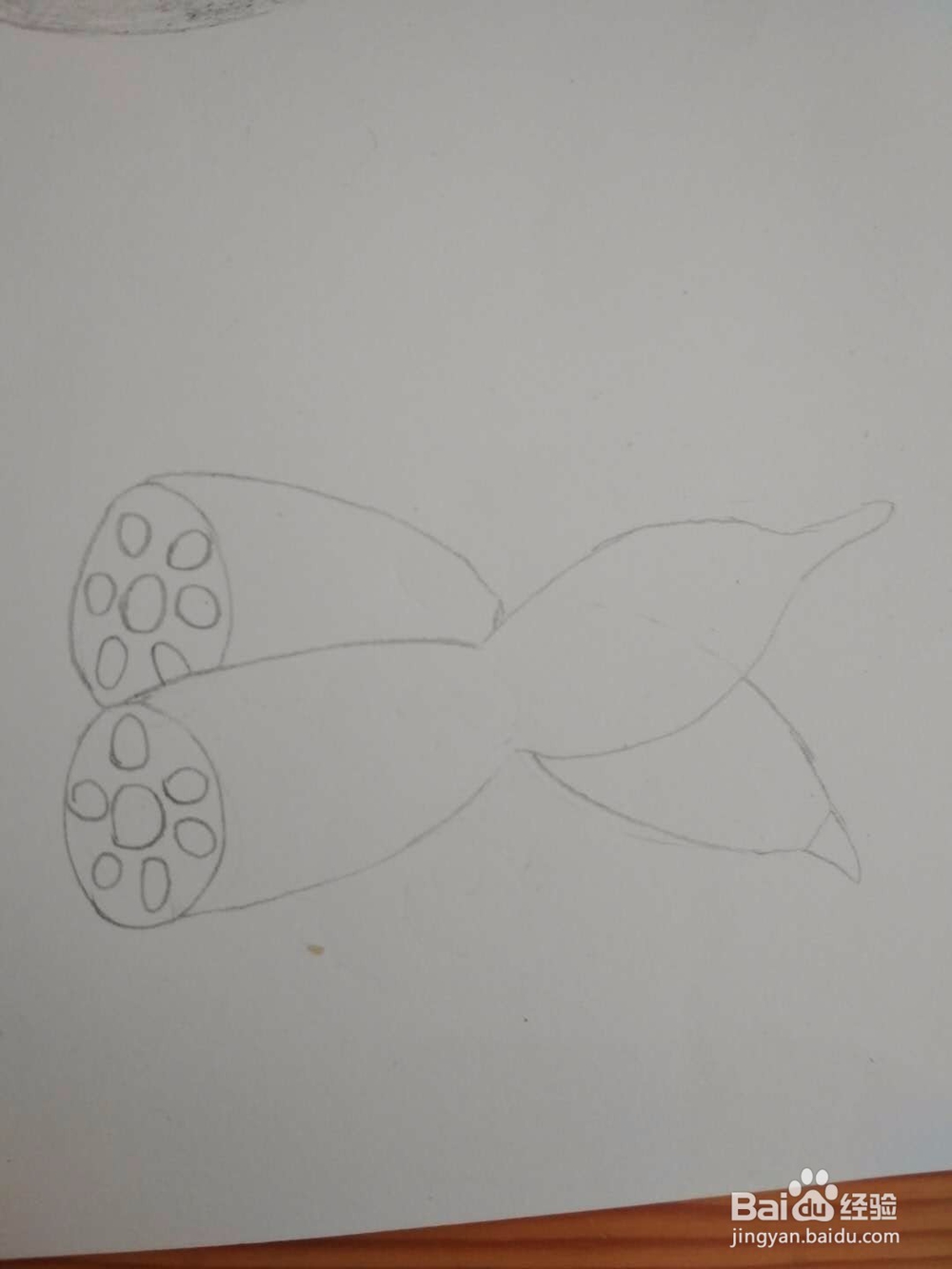 多妈简笔画蔬菜两段藕
