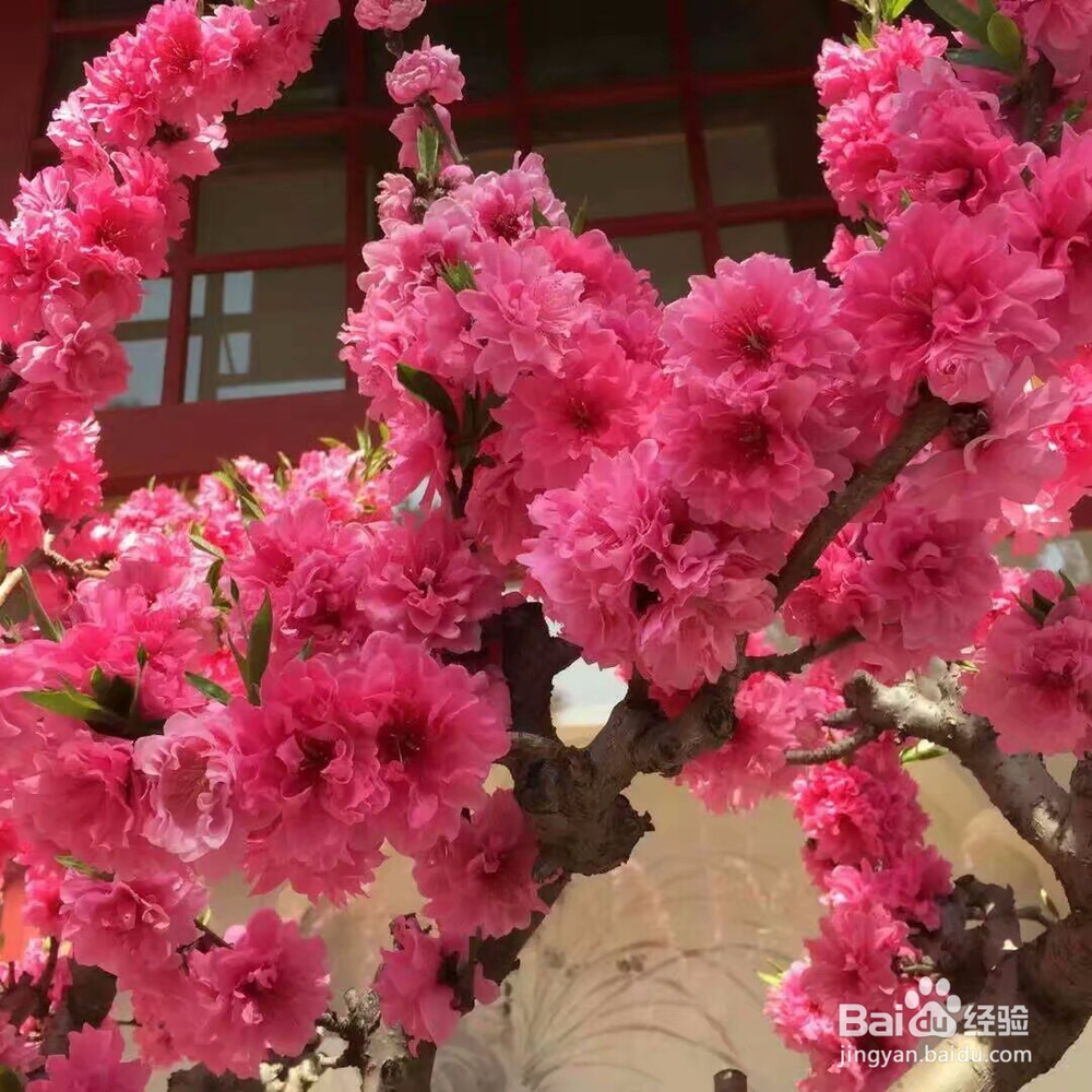 北京三日自助游建议