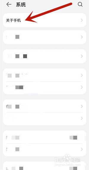 手机系统名称从哪里查看？
