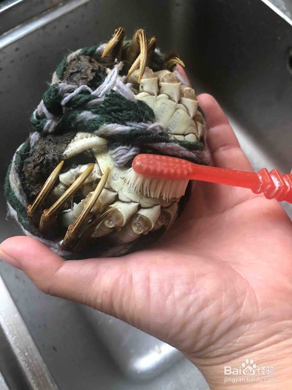 清蒸大闸蟹的做法