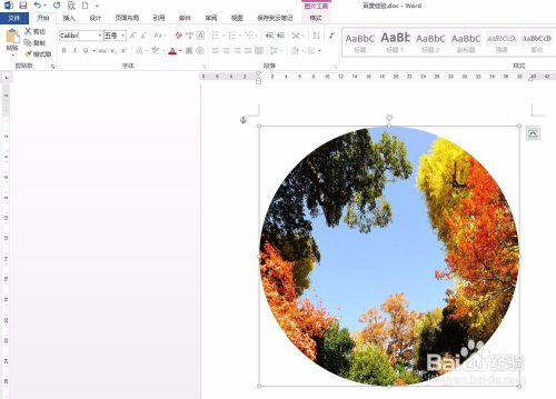 怎么用word把图片剪裁成圆形
