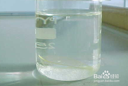 如何制作彩色透明树叶？