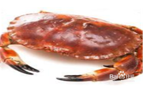 活海鲜怎么保存