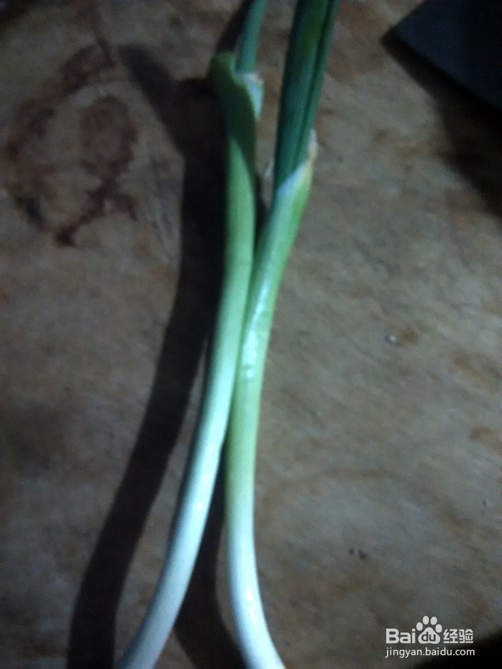 葱姜爆豆角茄子