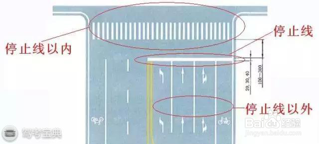 掉头看不看信号灯？