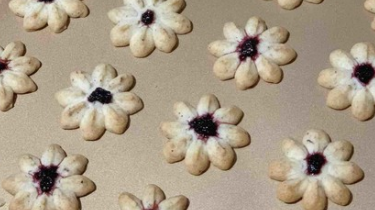 蓝莓曲奇的做法