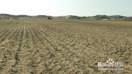 农村户口迁到城市后，土地不想被收回，要怎么办？