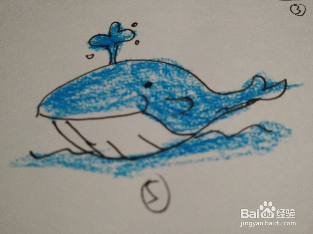 教宝宝画简笔画，海豚