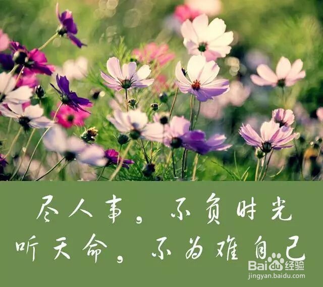 人活着应该有怎样的心态