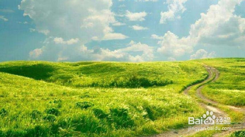 手机丢了怎么办？