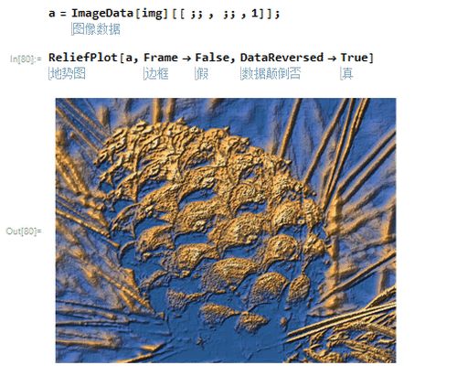 Mathematica绘制地势图(ReliefPlot)