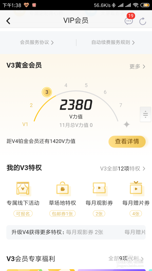 腾讯vip账号在哪里可以查到=腾讯vip账号在哪里可以查到记录