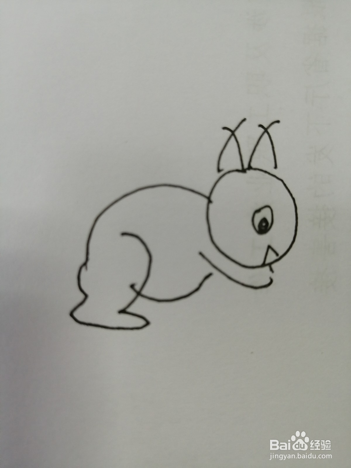 简笔画小松鼠怎么画