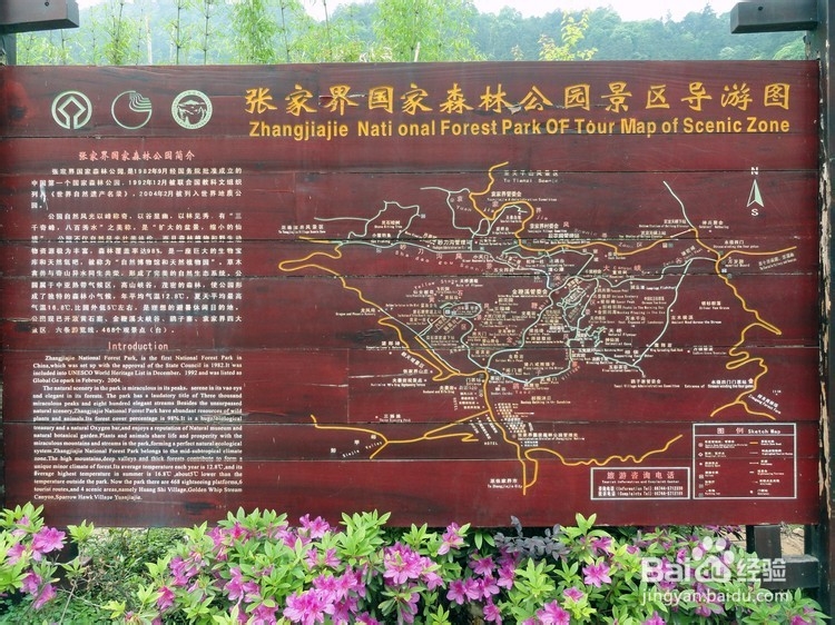 青岛到张家界旅游攻略