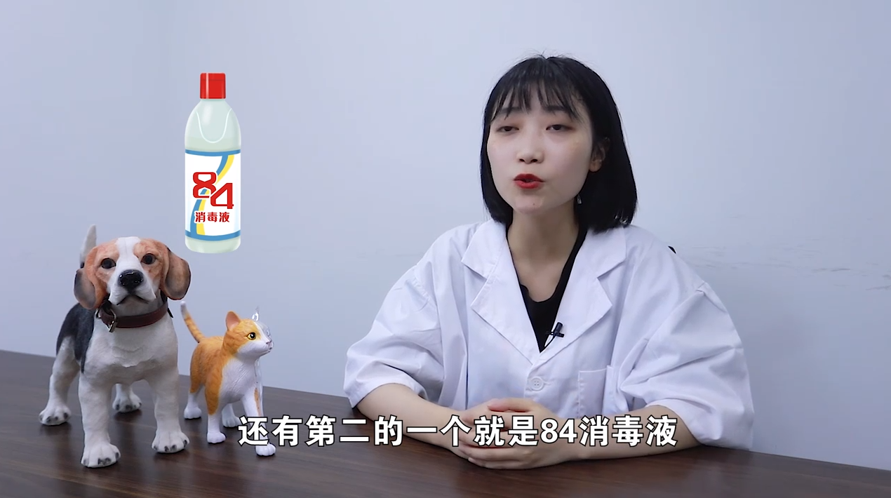 超市里的消毒水对宠物有害吗