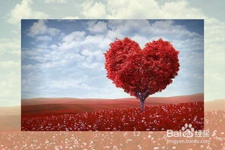 同情绝对不是爱情！