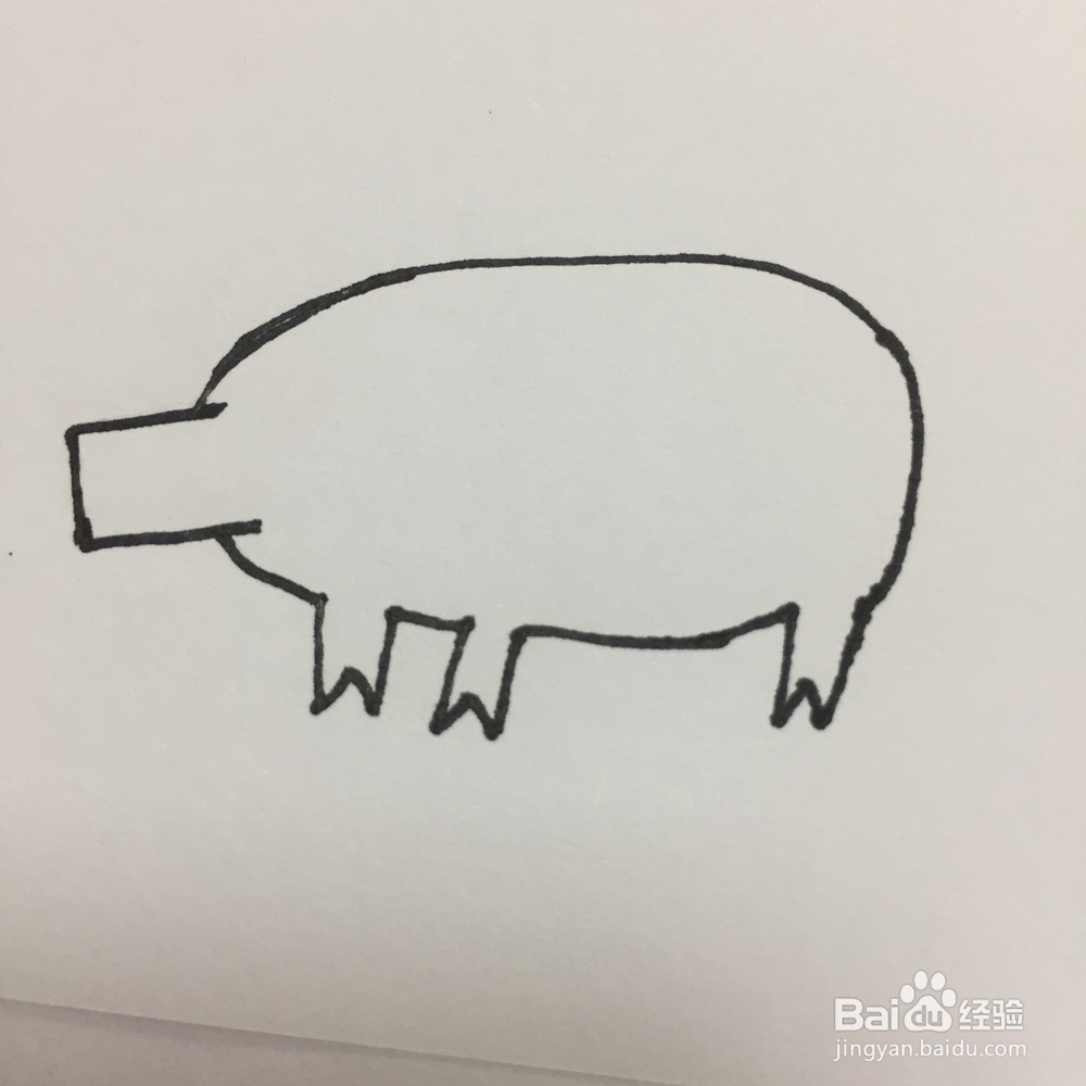 猪的简单画法