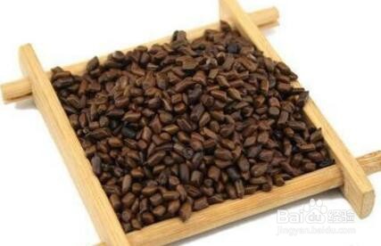 养肝护肝喝什么茶最好