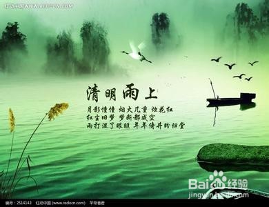 这个清明节假期去哪玩