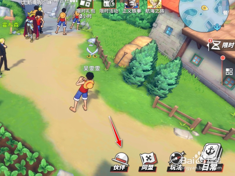 航海王怎么提升伙伴等级