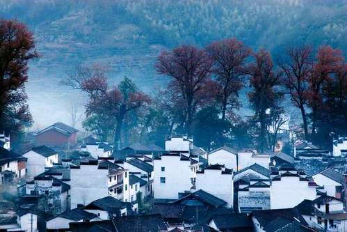 怎样安排婺源秋季摄影路线