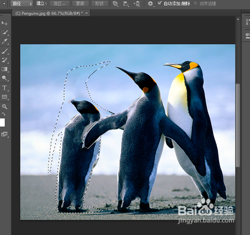 photoshop基础教程之去掉图片中的某一物体
