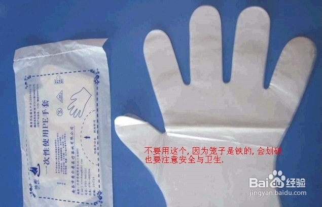 怎么抓老鼠和消灭老鼠